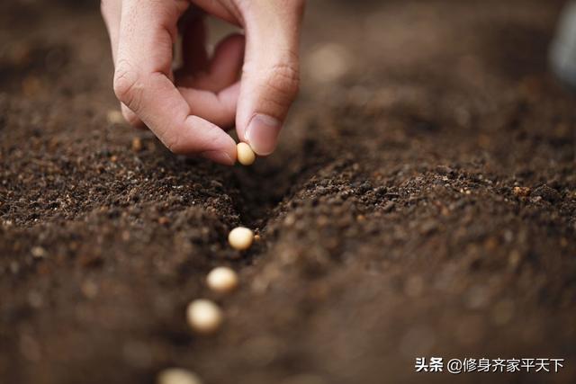 我的投资时代笔趣阁（小说我的投资时代）