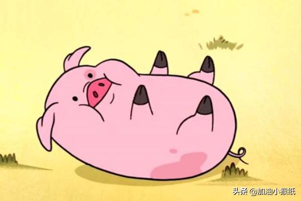 哄老婆睡觉的爱情故事_哄老婆睡觉的爱情睡前故事