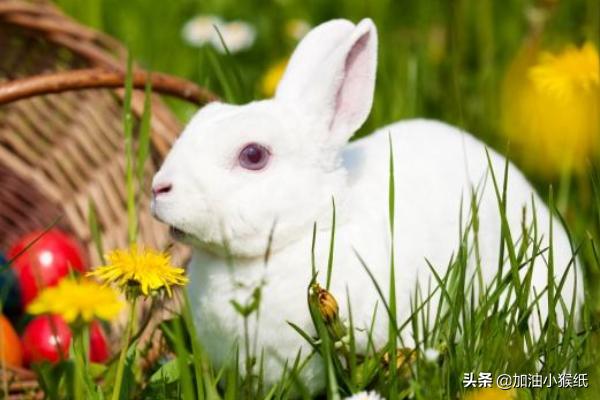 哄老婆睡觉的爱情故事_哄老婆睡觉的爱情睡前故事