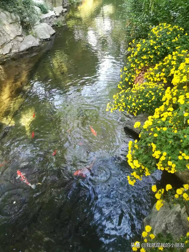 适合小班幼儿简短故事_适合小班幼儿故事大全