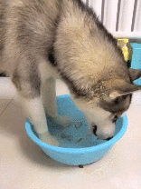 超级搞笑笑话_超级搞笑笑话笑到肚子痛的那种