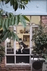 超级搞笑笑话_超级搞笑笑话笑到肚子痛的那种