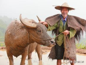 教育教学故事_教育教学故事分享