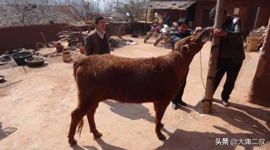 教育教学故事_教育教学故事分享