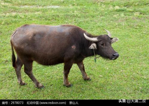 教育教学故事_教育教学故事分享