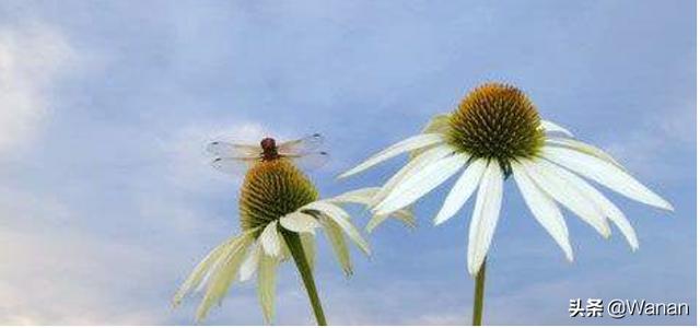 令人感动的事400字（令人感动的事400字排比式开头）