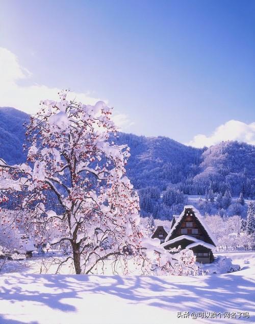 历史故事的成语还有哪些(历史故事的成语有哪些成语)