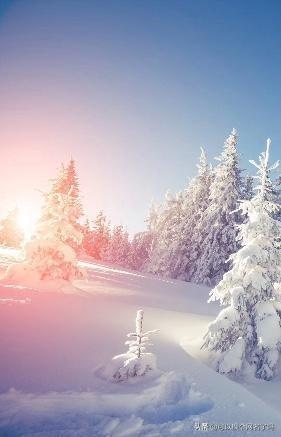 历史故事的成语还有哪些(历史故事的成语有哪些成语)