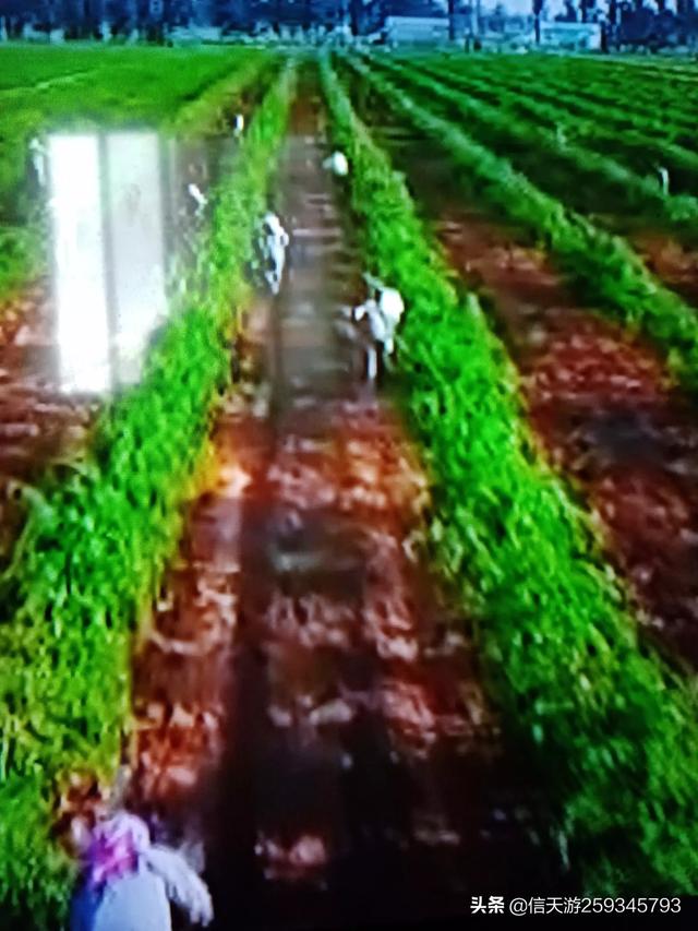 睡前故事 儿童故事 童话故事