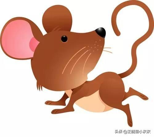 动物成语大全（动物成语大全带拼音）