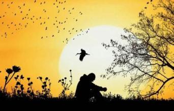 关于亲情的故事300字左右（关于亲情的故事不少于300字）